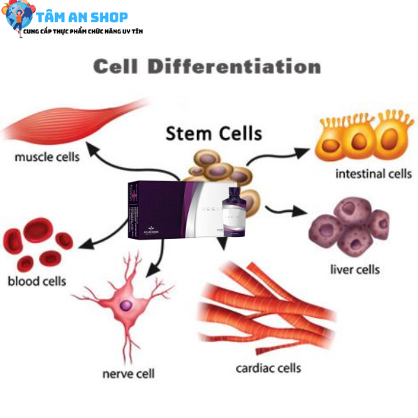 Reserve giúp đánh thức các tế bào nội sinh