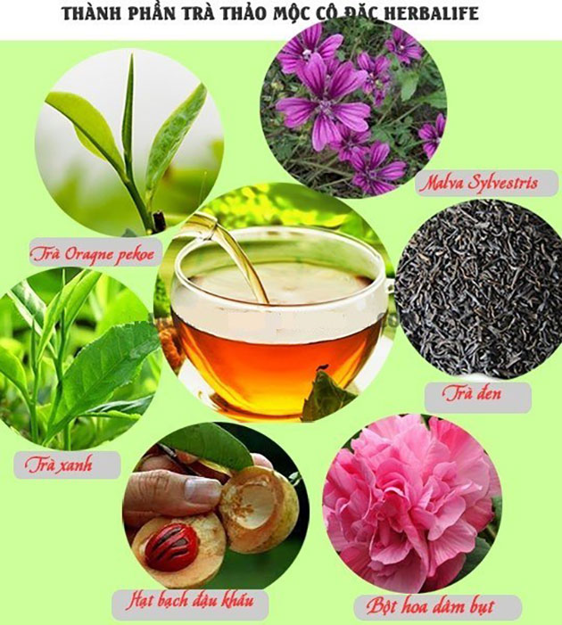 thành phần trà giảm cân herbalife
