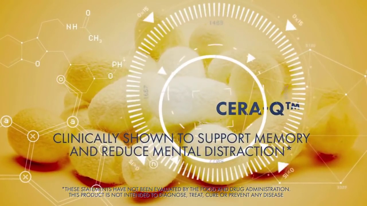 SERA-Q MINd