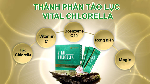 thành phần tảo vital