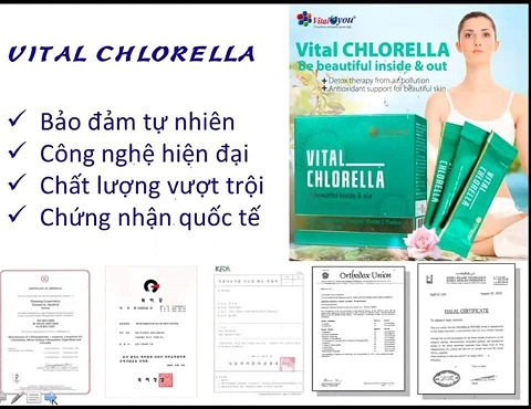 Vital chlorella