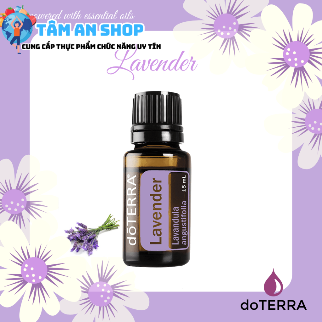 Lavender Essential Oil được lựa chọn kỹ càng từ những công đoạn cơ bản nhất
