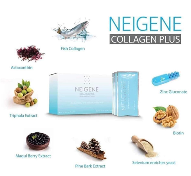 Rất nhiều thành phần dinh dưỡng được kết hợp trong sản phẩm Neigene Collagen Plus