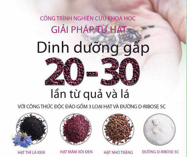 Đường đơn Ribose