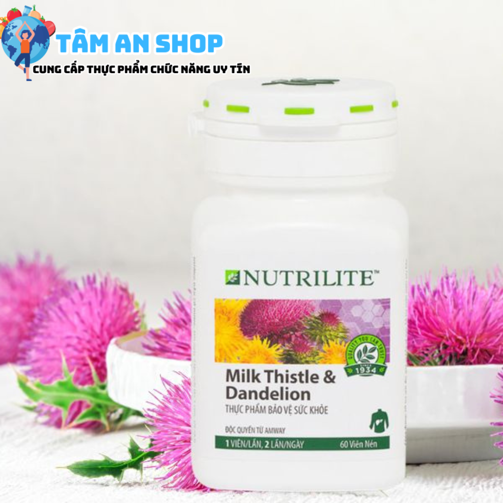 Milk Thistle and Dandelion giúp nâng cao sức đề kháng và hệ miễn dịch