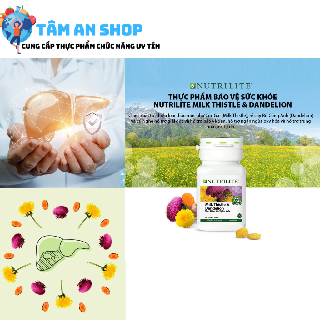 Nutrilite Milk Thistle & Dandelion ra đời nhằm xử lý những rắc rối của gan