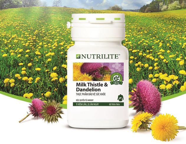 Công dụng tuyệt vời của Nutrilite Milk Thistle & Dandelion