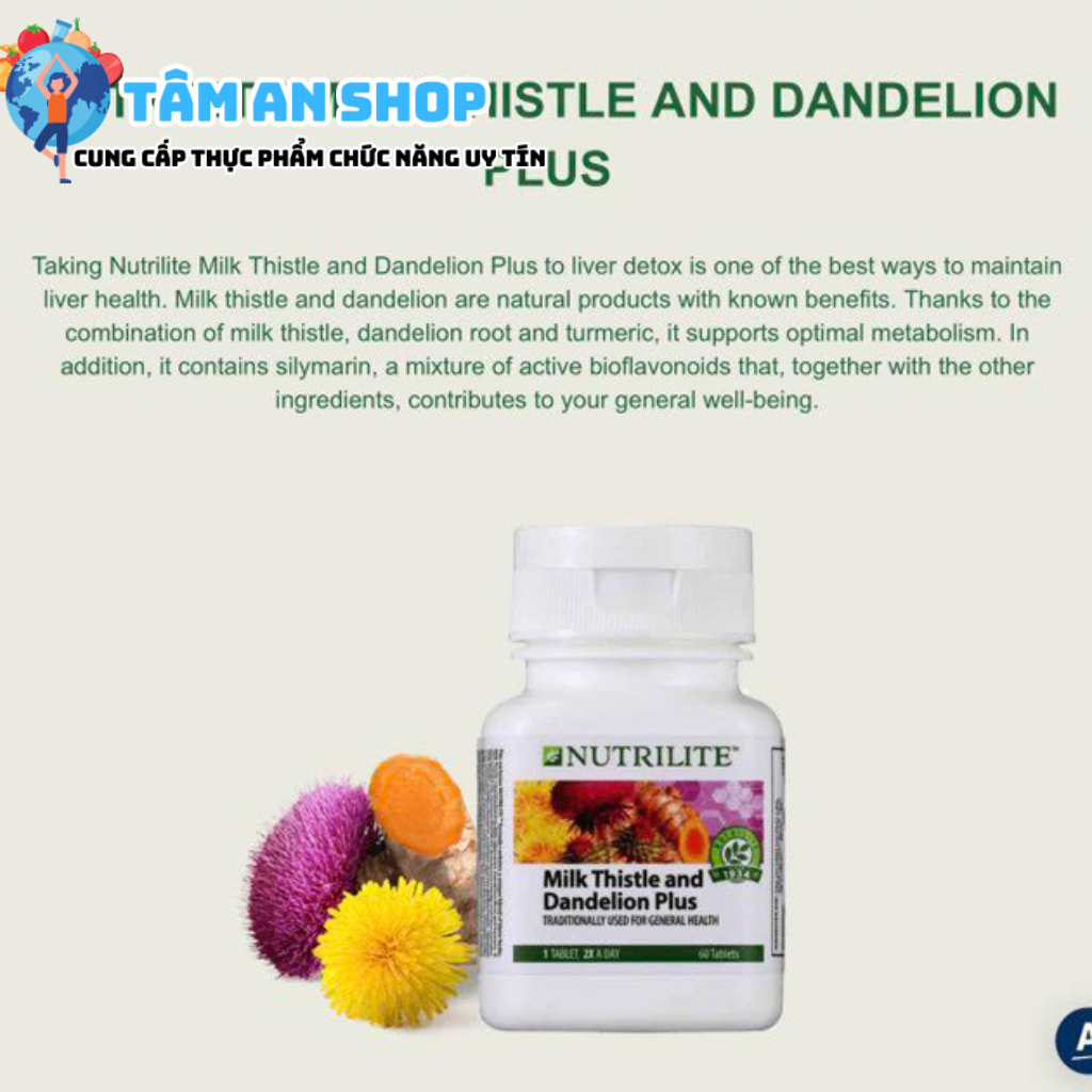 Nutrilite Milk Thistle & Dandelion là sản phẩm hiệu quả của việc thanh lọc gan