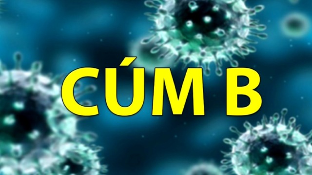 Một số chủng loại cúm thường gặp