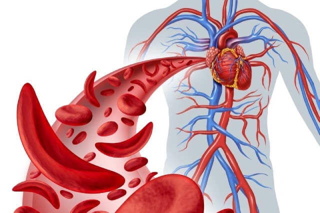 Thiếu máu và rối loạn tuần hoàn máu