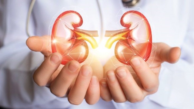 Các giai đoạn phát triển chính của bệnh