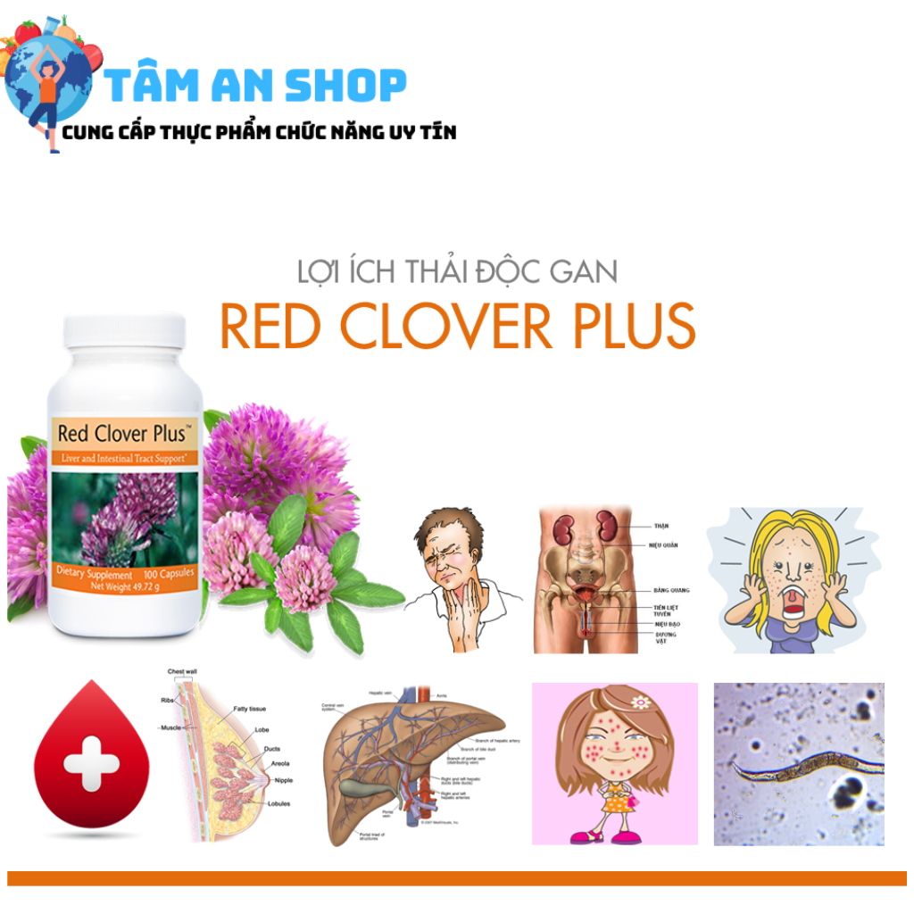 Red Clover Plus có nhiều công dụng tuyệt vời