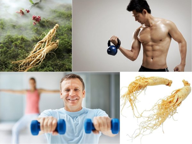 Thảo dược tăng cường sinh lý ở cả nam và nữ