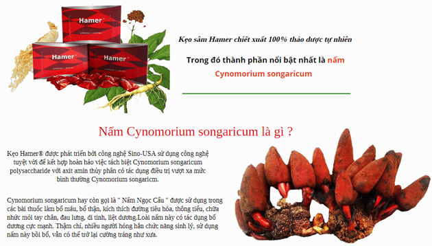 Chất lượng từ thành phần đến công dụng