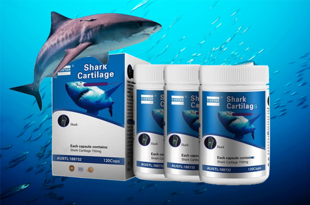 Costar Shark Cartilage gồm những thành phần nào?