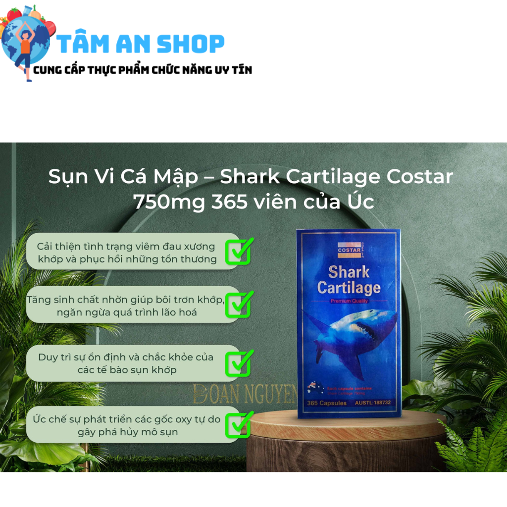 Costar Shark Cartilage giúp bảo vệ và hỗ trợ xương khớp, giảm nguy cơ chấn thương.