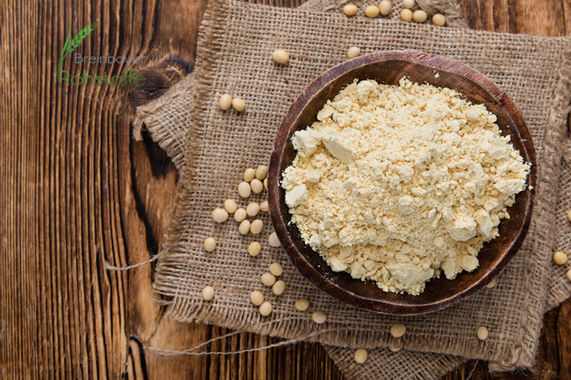 Soy Protein Chiết xuất Isoflavone
