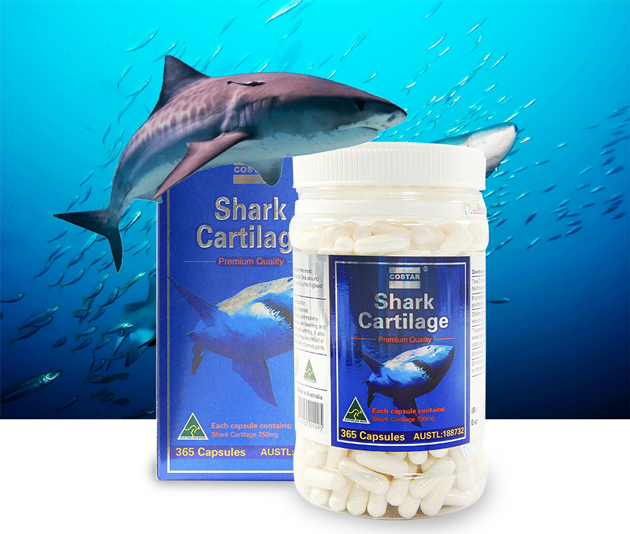 Costar Shark Cartilage có nên dùng cho phụ nữ mang thai hay không?