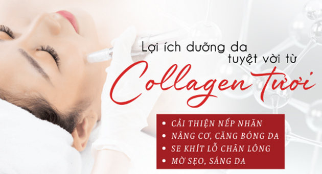 Ưu điểm của Collagen tươi
