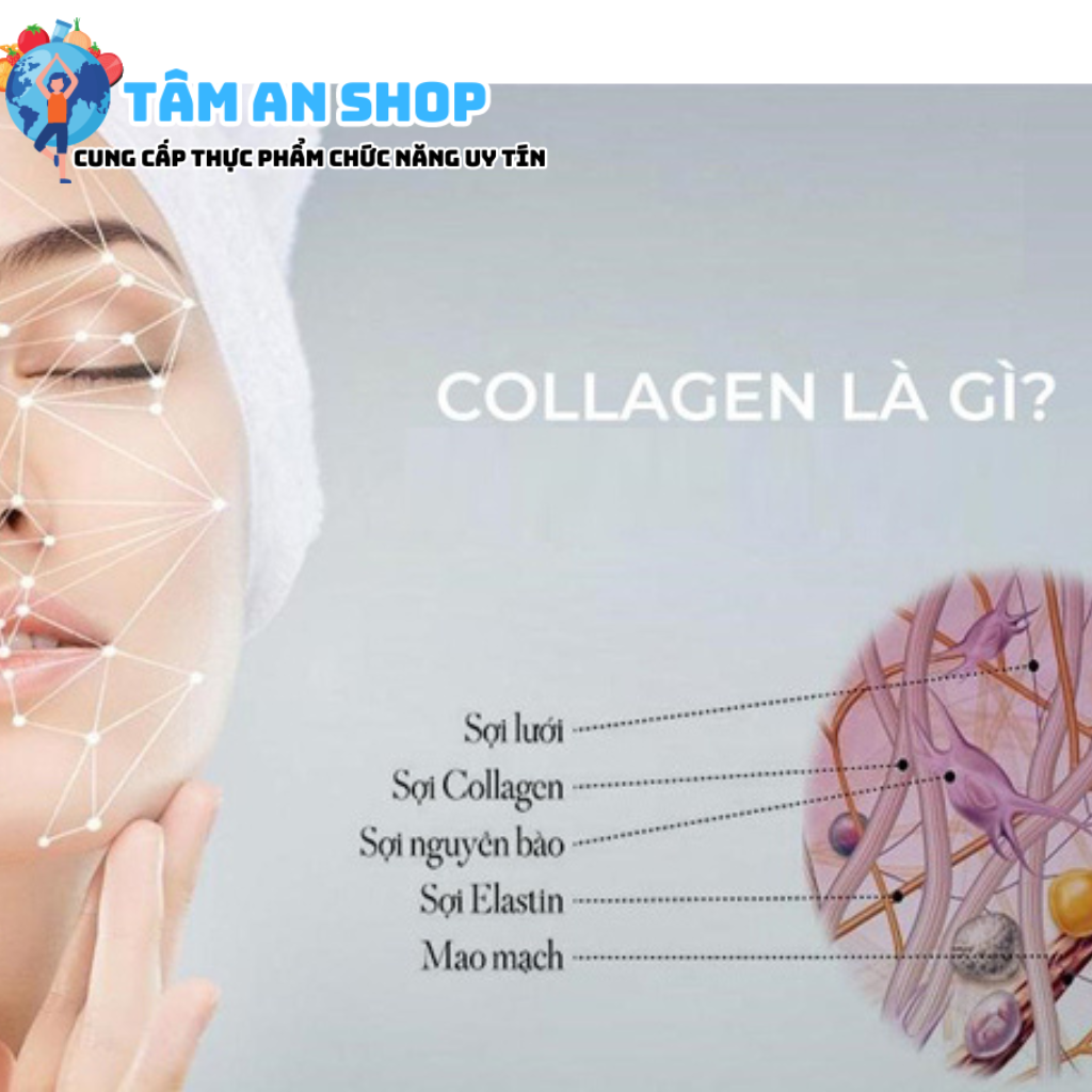 Collagen tươi chính là giải pháp hoàn hảo dành cho làn da