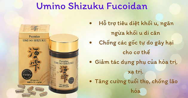 Fucoidan vàng có nhiều công dụng có lợi cho sức khỏe