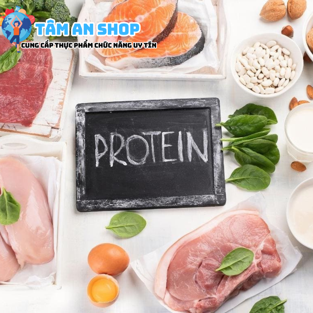 Protein là nguồn năng lượng không thể nào thiếu trong mỗi ngày