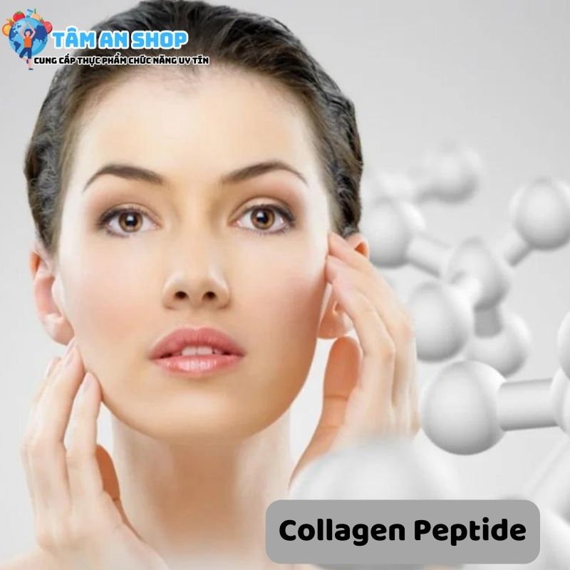 Collagen Peptide là gì