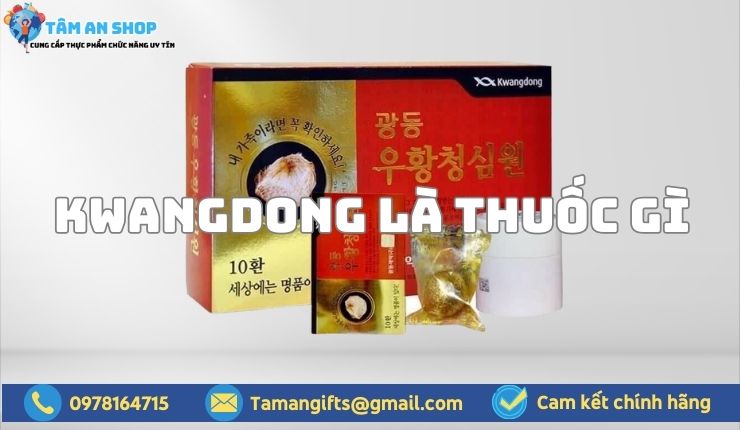 Kwangdong là thuốc gì