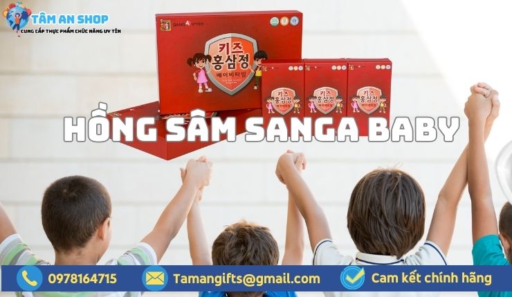 Review Hồng sâm Baby SangA