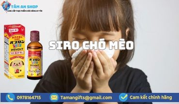 Siro Chó Mèo