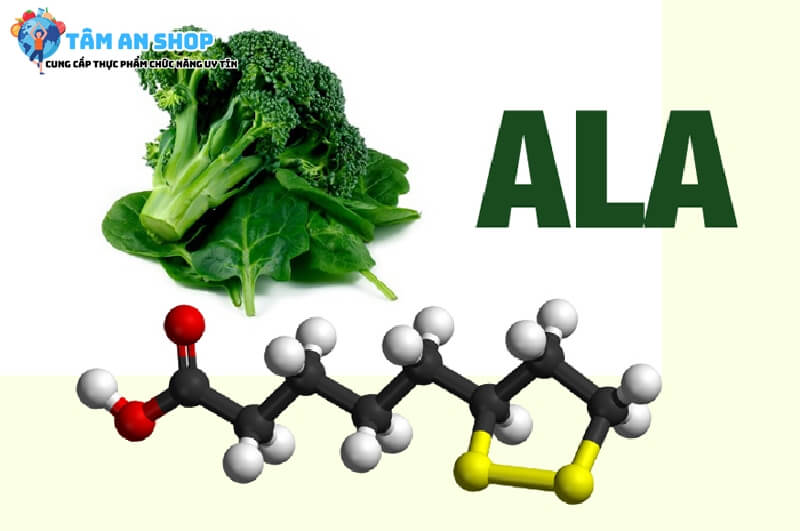 Alpha Lipoic Acid cải thiện sức khỏe
