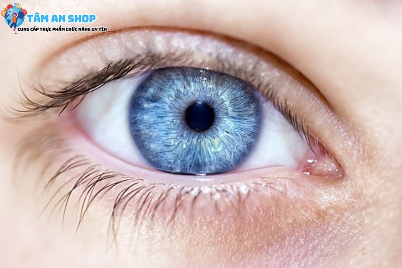 Mắt màu xanh có nguy cơ mắc ung thư cao hơn