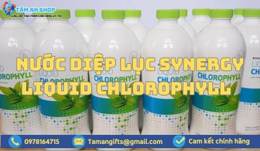 Nước diệp lục Synergy Liquid Chlorophyll