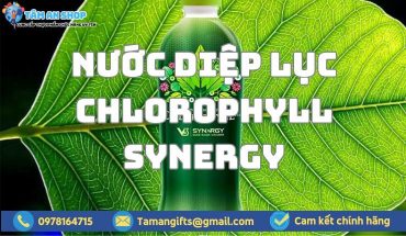 Nước diệp lục Chlorophyll Synergy