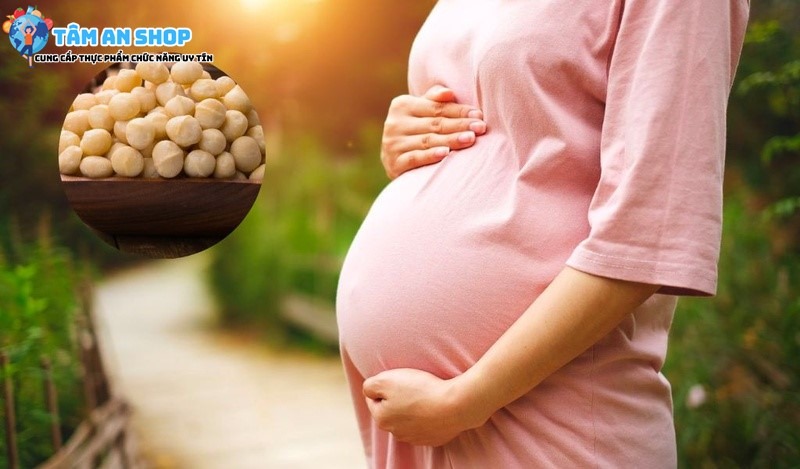 Hạt macca tốt cho phụ nữ mang thai