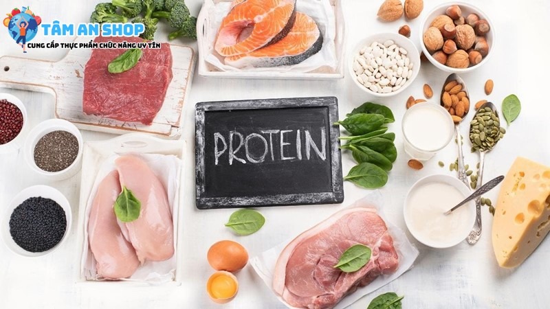 Protein có trong Wisdom Weight 