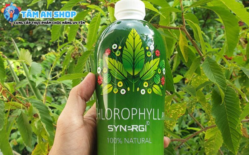 Sử dụng Synergy Chlorophyll hàng ngày