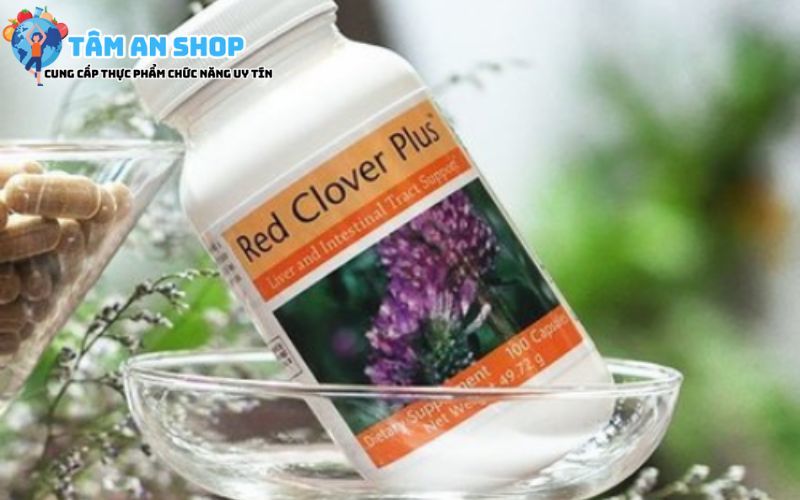 Thải độc gan Red Clover Plus cho lá gan khỏe mạnh
