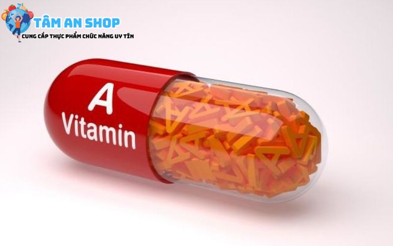 Thành phần vitamin a
