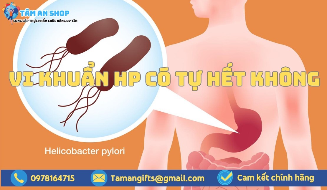 Vi khuẩn Hp có tự hết không