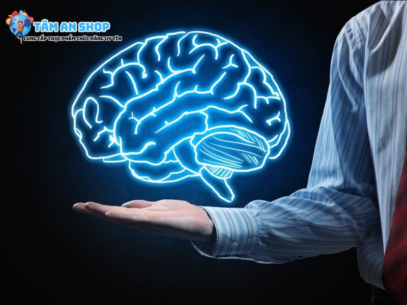 Lifewise 365 brain cải thiện và phát triển não bộ