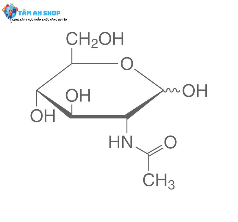 N-Acetylglucosamine