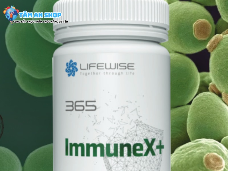 Nguồn gốc và xuất xứ của Lifewise 365 Immunex