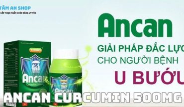 Tổng quan về Ancan Curcumin