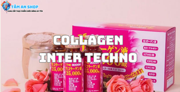 Collagen Inter Techno