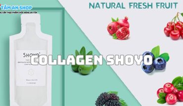 Collagen Shoyo