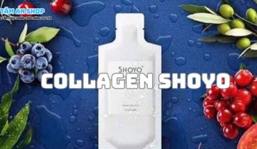 Collagen Shoyo