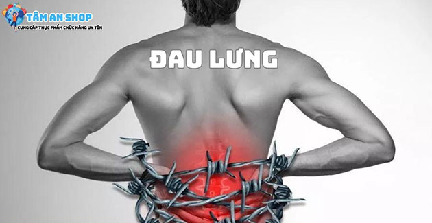 Đau lưng nên dùng thực phẩm gì