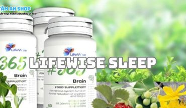 Lifewise Brain