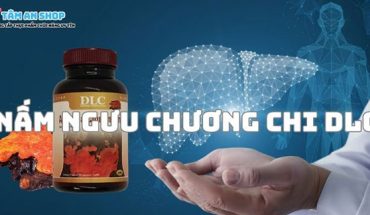 Nấm Ngưu Chương Chi DLC